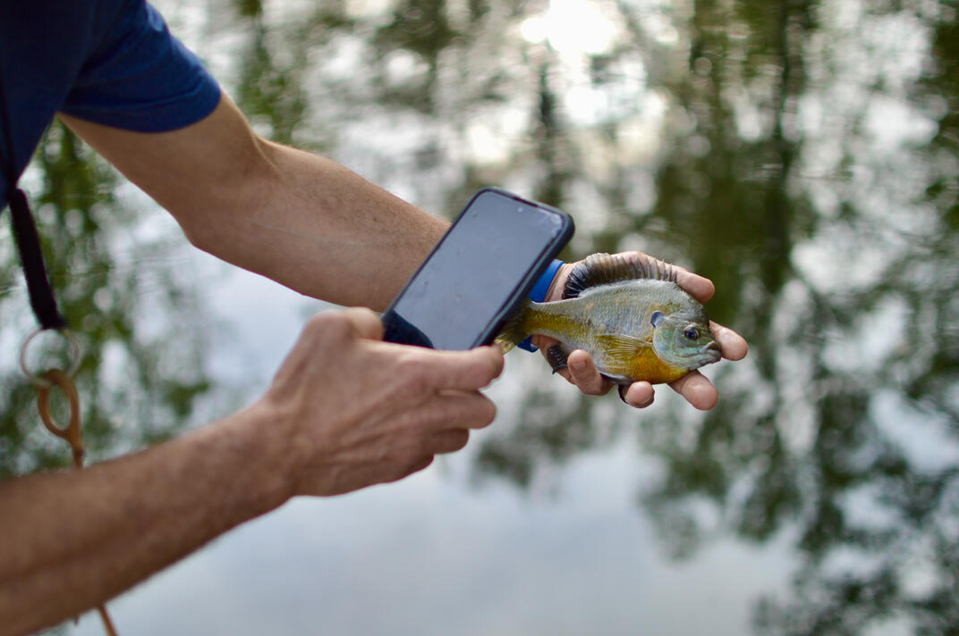 Catch Catch